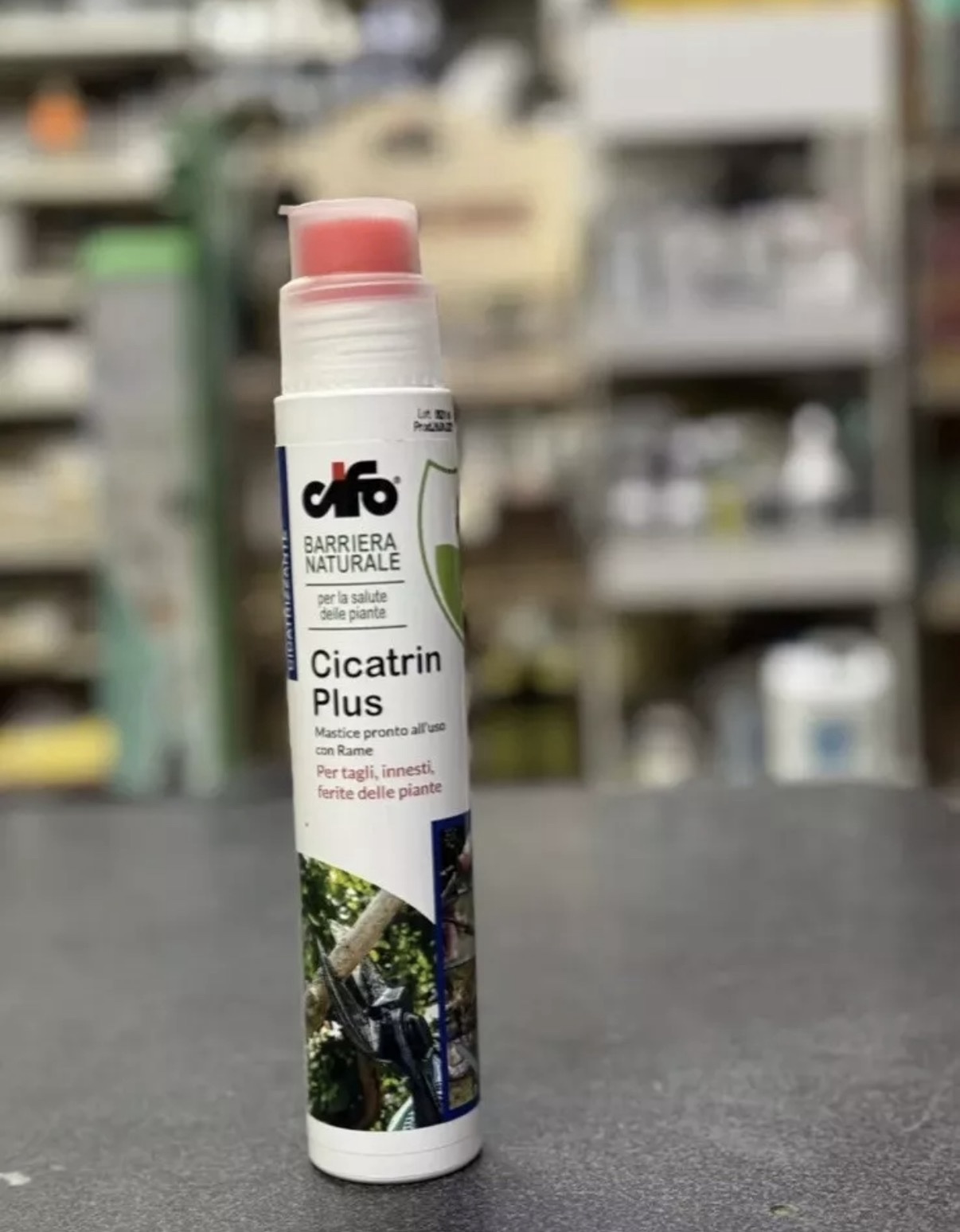 CIFO Cicatrin Plus Mastice Cicatrizzante
250 g con Rame - Protezione e Cura
Professionale per le Tue Piante